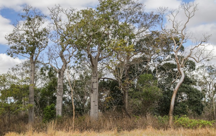 IMG_3921_edited_lowres