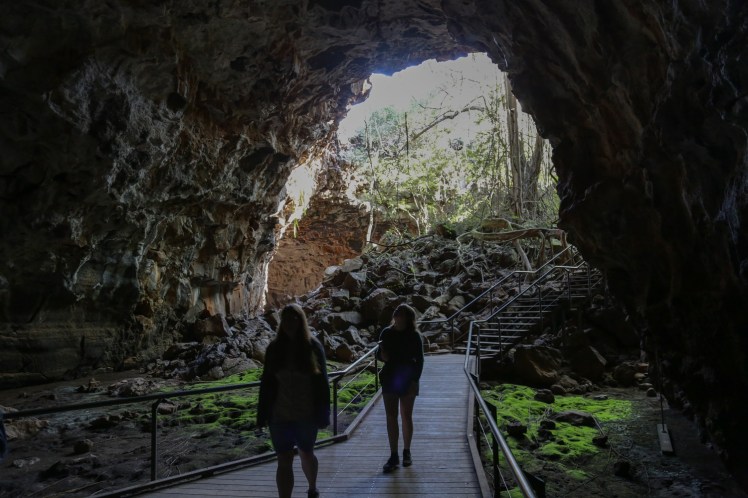 IMG_4082_edited_lowres