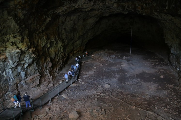 IMG_4129_edited_lowres