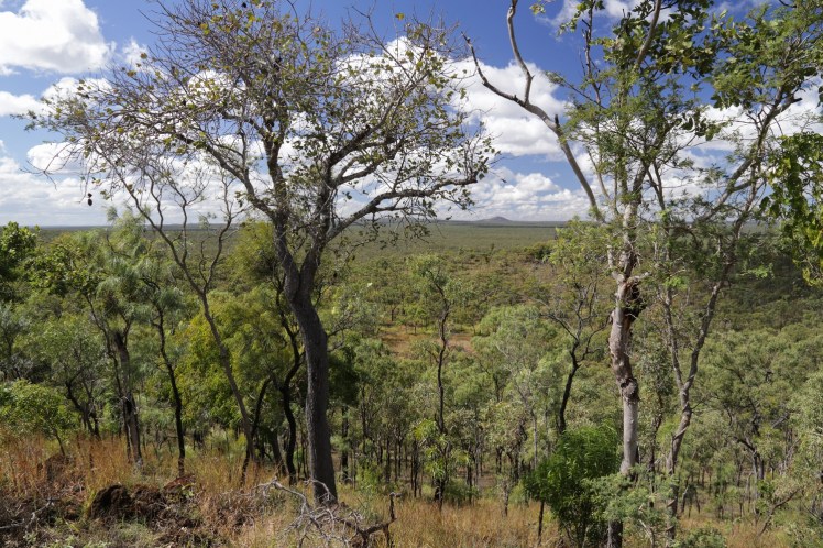 IMG_4235_edited_lowres