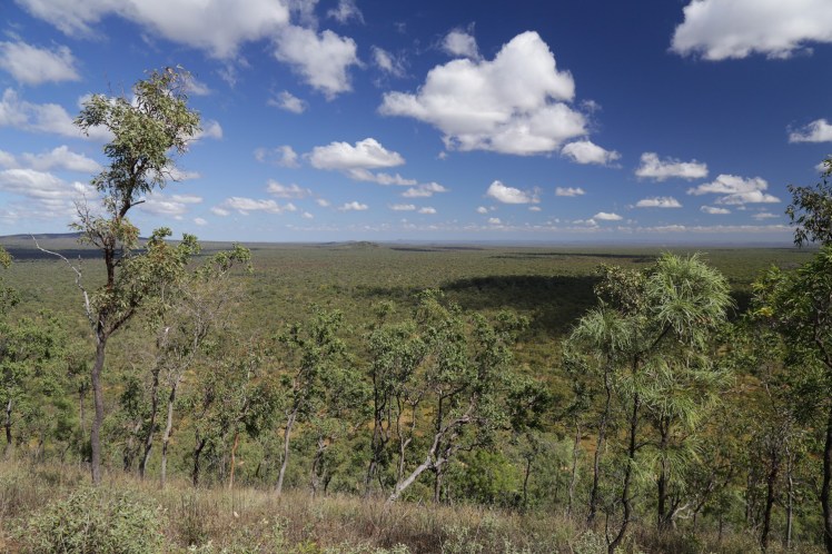 IMG_4243_edited_lowres