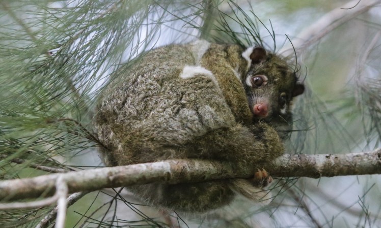 IMG_4348_edited_lowres