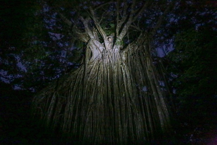 IMG_4364_edited_lowres