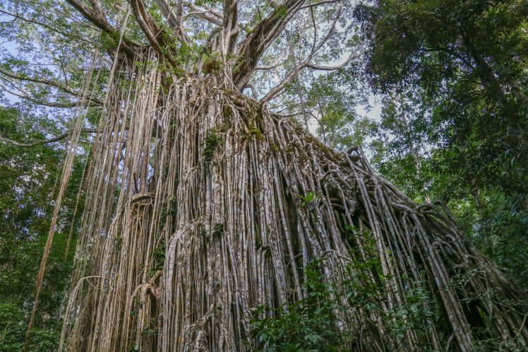 IMG_4440_edited_lowres