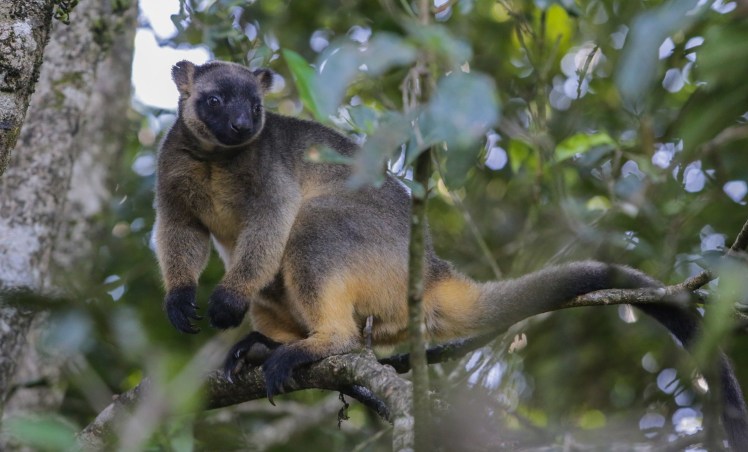 IMG_4604_edited_best_lowres