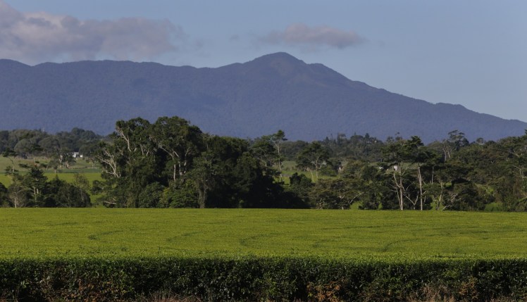 IMG_4616_edited_lowres