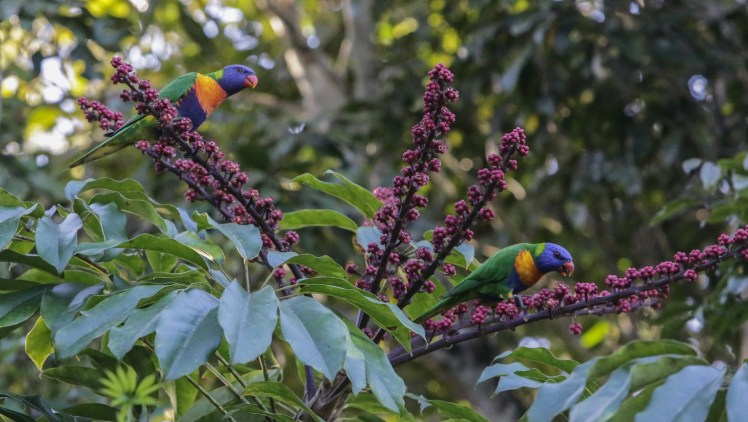 IMG_4653_edited_lowres