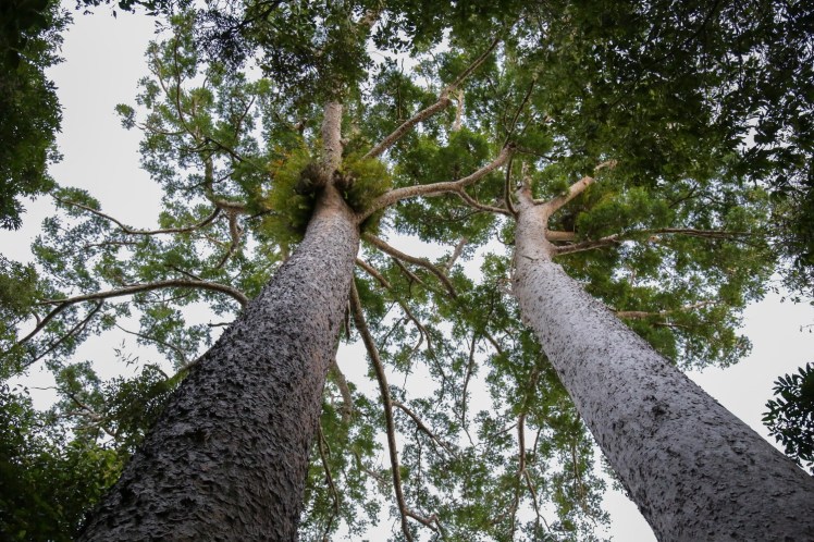 IMG_4776_edited_lowres