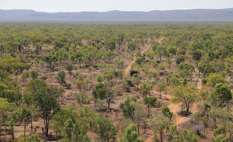 IMG_4867_edited_lowres