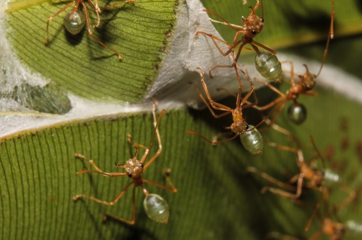 IMG_4989_edited_lowres