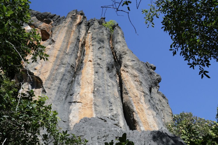 IMG_5015_edited_lowres