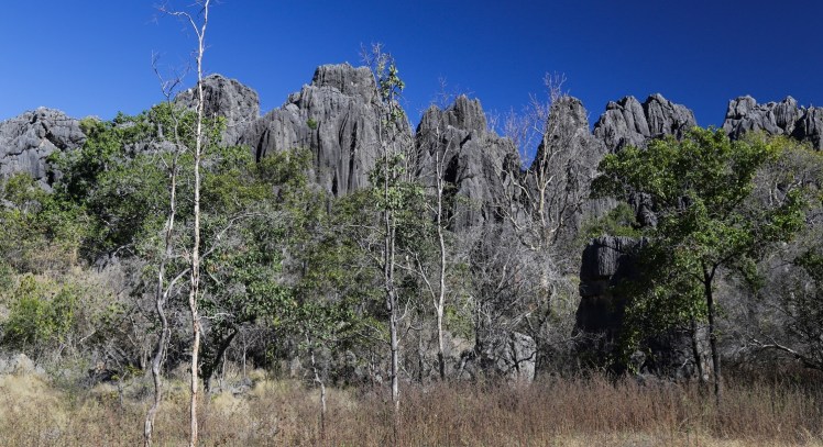 IMG_5030_edited_lowres