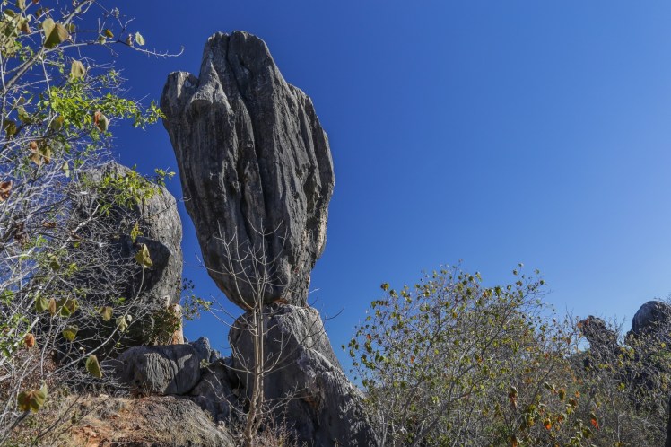 IMG_5068_edited_lowres