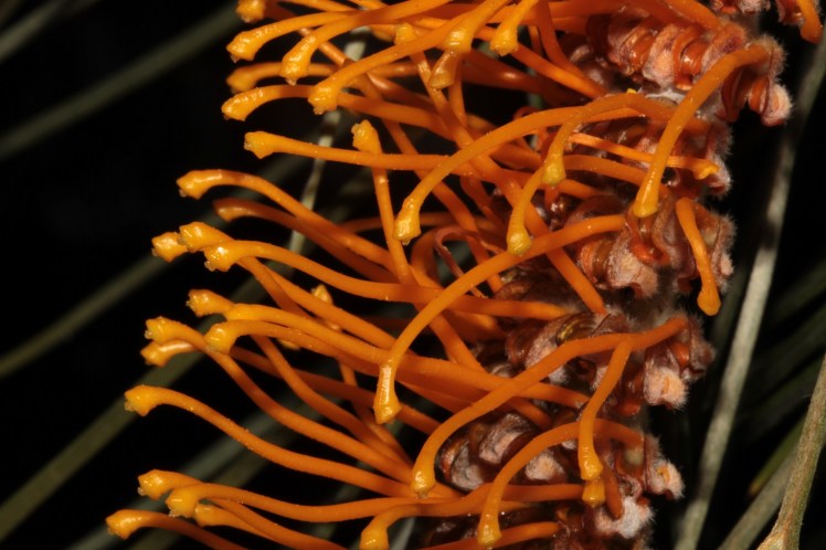 IMG_5076_edited_lowres