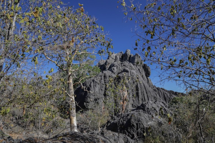 IMG_5076_edited_lowres