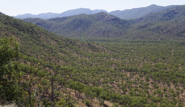 IMG_5121_edited_lowres