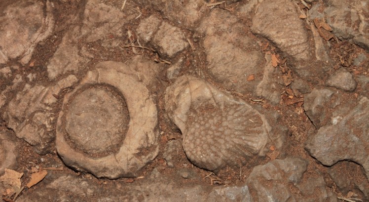 IMG_5181_edited_lowres