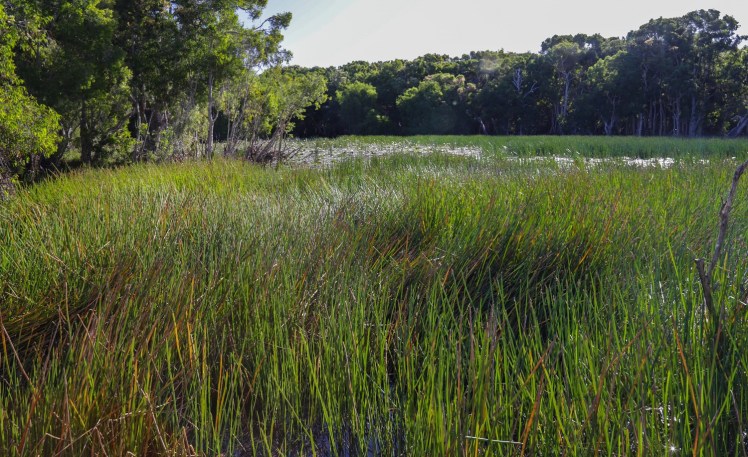 IMG_5190_edited_lowres