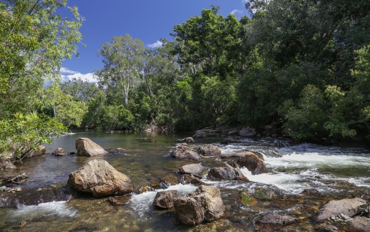 IMG_5277_edited_lowres