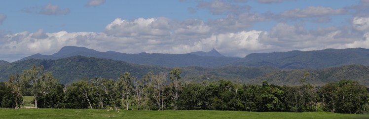 IMG_5309_edited_lowres