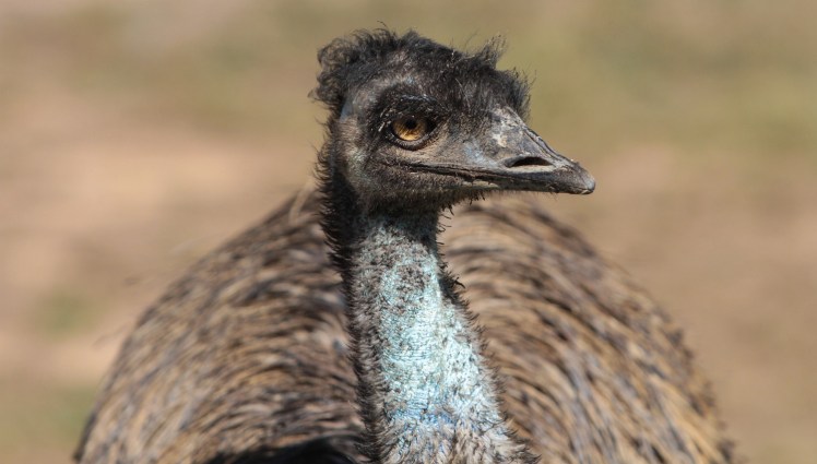 IMG_5315_edited_lowres