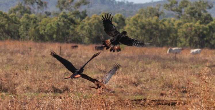 IMG_5369_edited_lowres