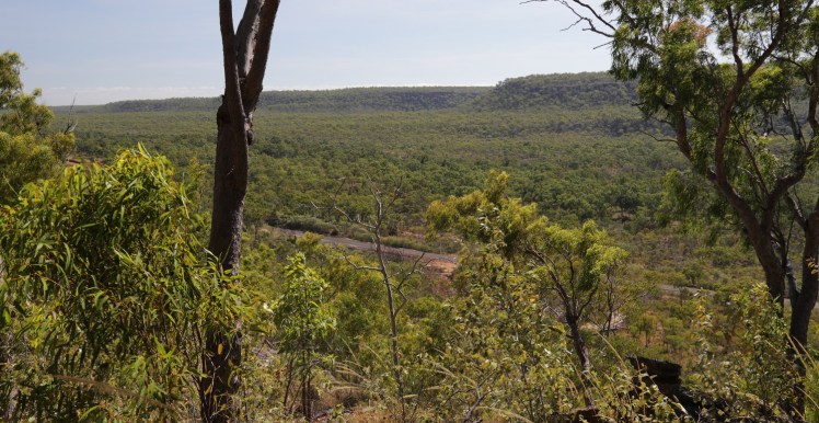 IMG_5439_edited_lowres