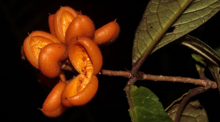 IMG_5478_edited_lowres