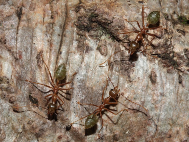 IMG_5588_edited_lowres