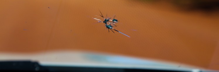 IMG_5593_edited_lowres