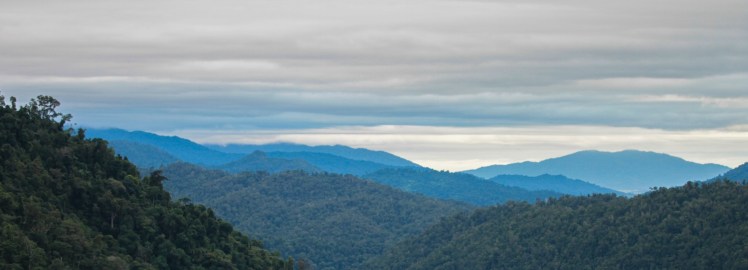 IMG_5623_edited_lowres