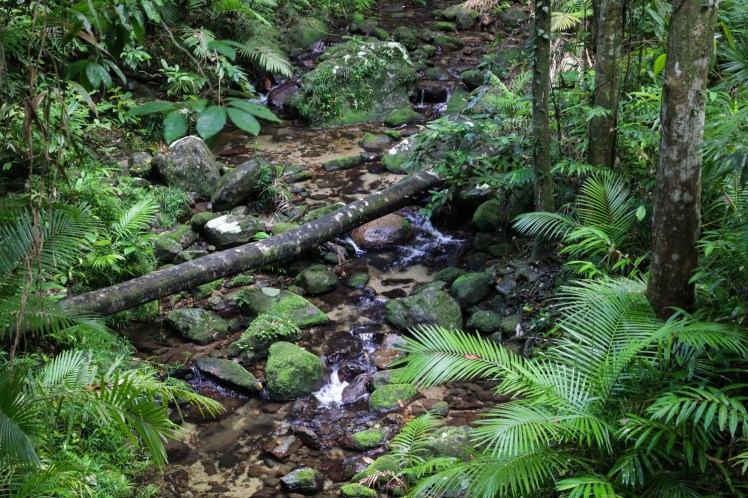 IMG_5732_edited_lowres