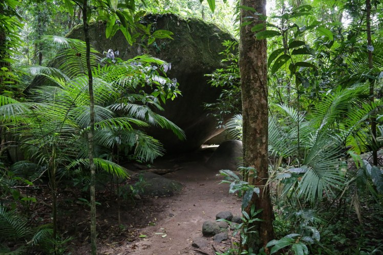 IMG_5817_edited_lowres