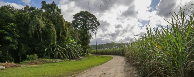 IMG_5908_edited_lowres