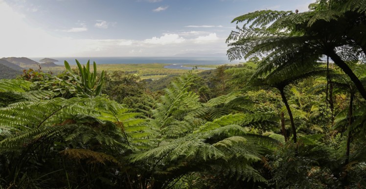 IMG_5940_edited_lowres