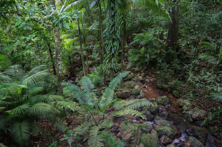 IMG_5974_edited_lowres