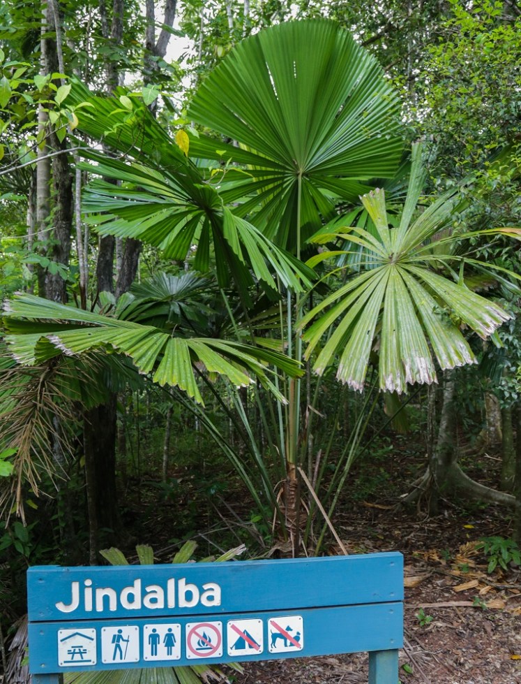 IMG_6024_edited_lowres