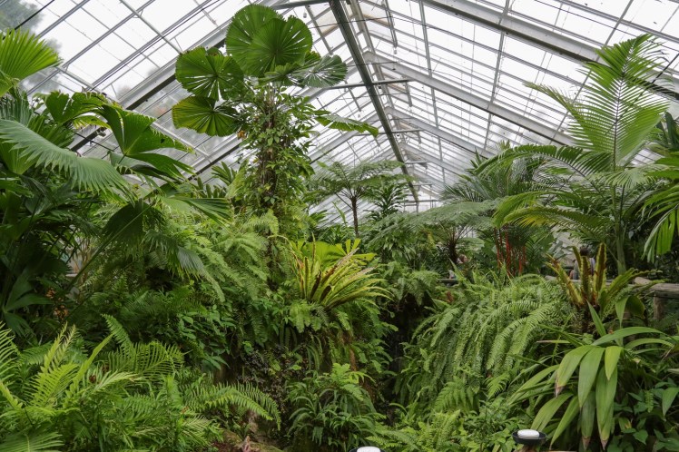 IMG_6458_edited_lowres