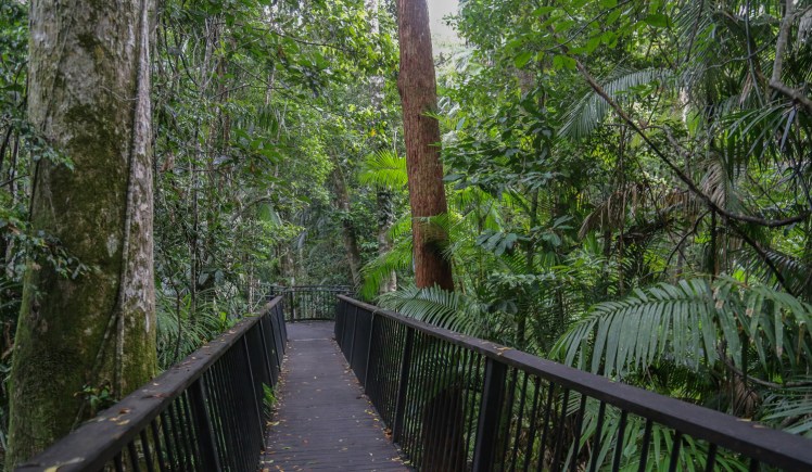 IMG_6542_edited_lowres