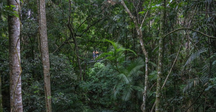 IMG_6548_edited_lowres