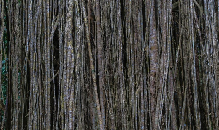 IMG_6795_edited_lowres