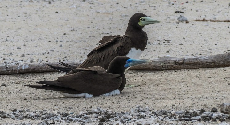 IMG_6846_edited_lowres