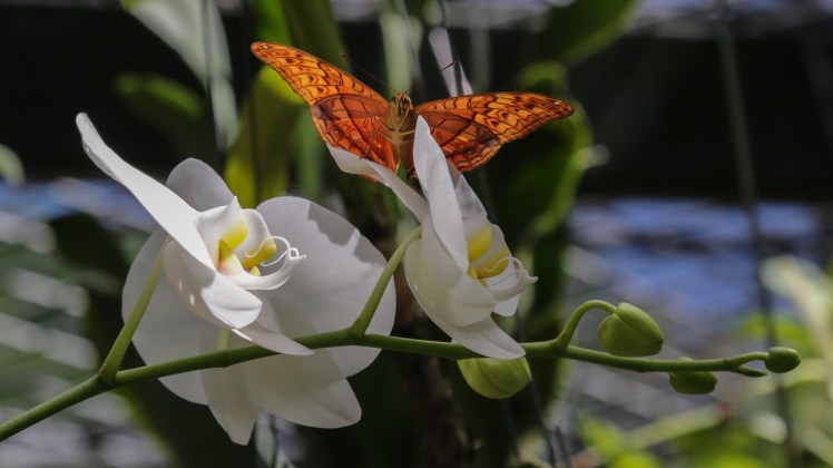 IMG_6879_edited_lowres