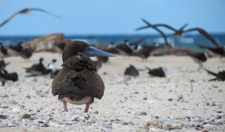 IMG_6892_edited_lowres