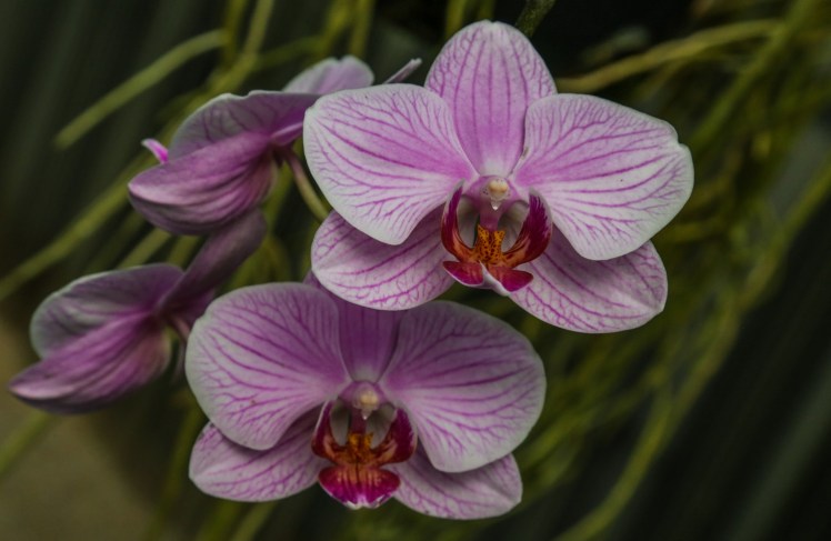 IMG_6893_edited_lowres