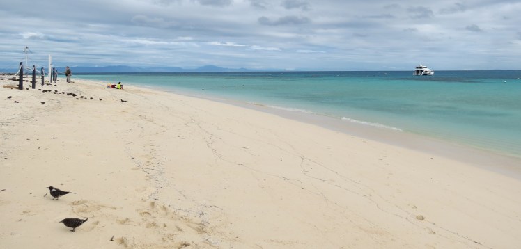 IMG_6899_edited_lowres