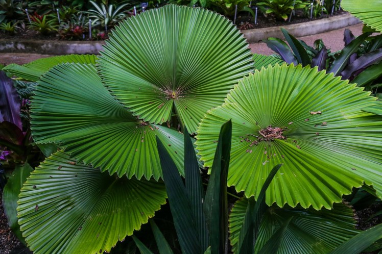 IMG_6906_edited_lowres