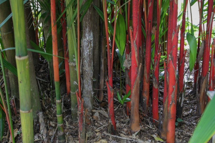 IMG_6915_edited_lowres