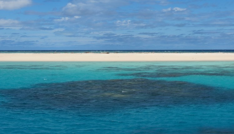 IMG_6924_edited_lowres