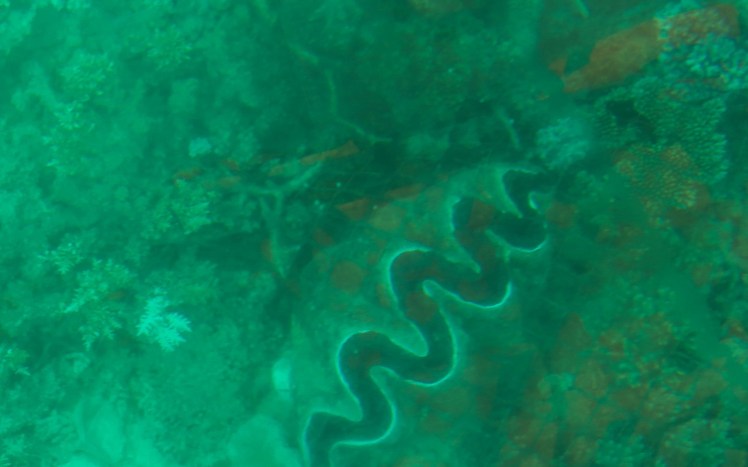 IMG_6947_edited_lowres